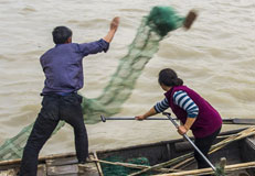 重访大运河：水上渔家