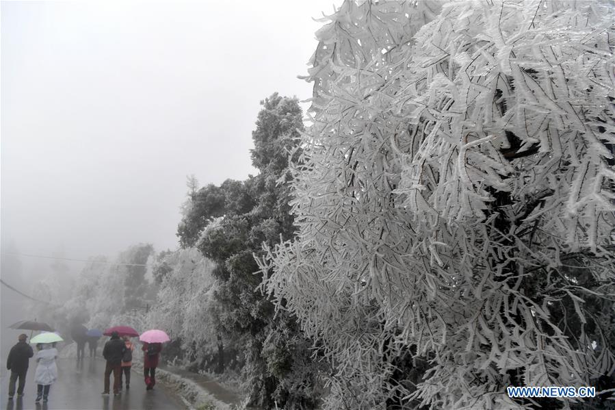 CHINA-JIANGXI-NANCHANG-FROST (CN)