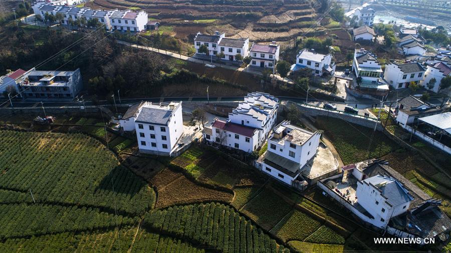 CHINA-SHAANXI-TEA PLANTING INDUSTRY (CN)