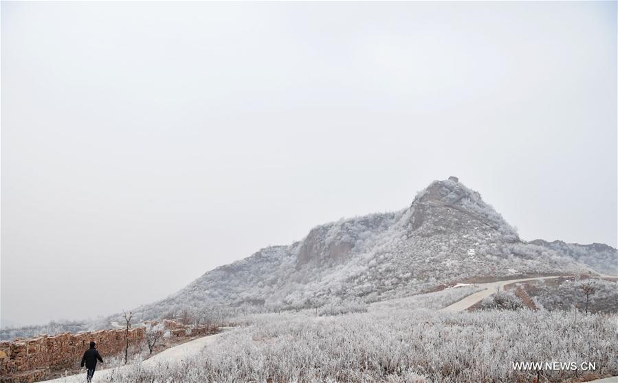 CHINA-HENAN-PINGDINGSHAN-FROST SCENERY (CN)