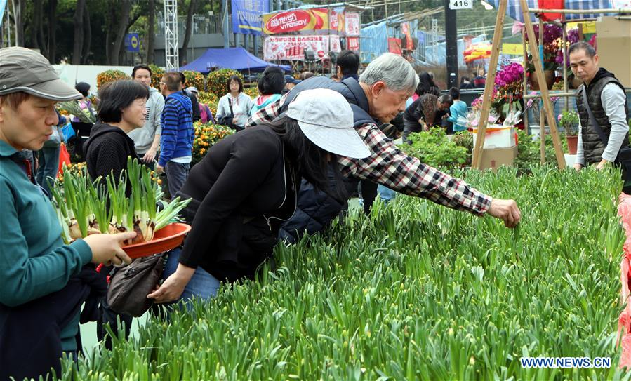 CHINA-HONG KONG-LUNAR NEW YEAR FESTIVAL-FAIR