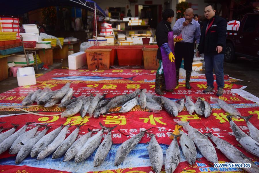 #CHINA-SPRING FESTIVAL-PREPARATIONS (CN)