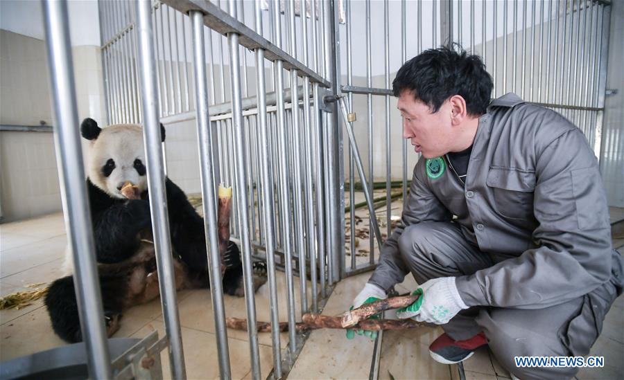 CHINA-SPRING FESTIVAL-PEOPLE AT WORK (CN)