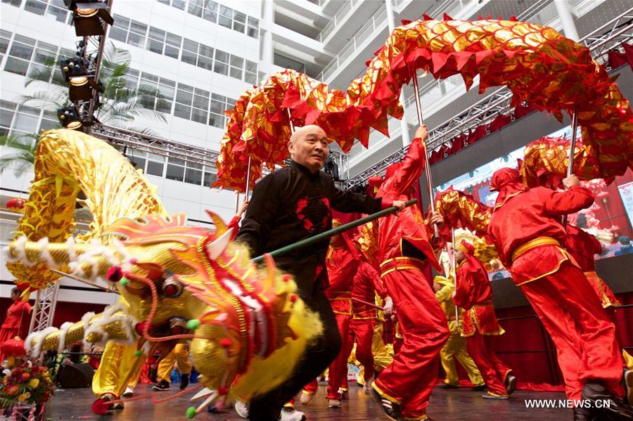 NETHERLANDS-THE HAGUE-CHINESE NEW YEAR-CELEBRATION