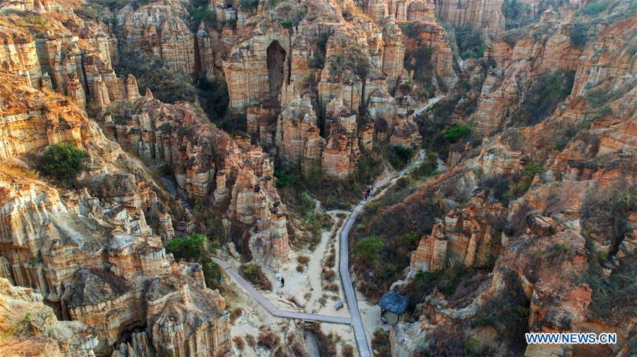 CHINA-YUNNAN-YUANMOU-EARTH FOREST (CN)