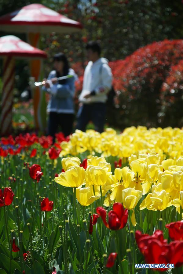 #CHINA-SPRING LEISURE (CN)