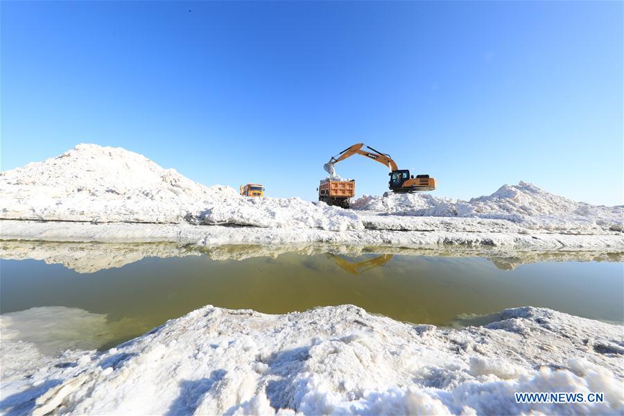 #CHINA-XINJIANG-SALT HARVEST (CN)