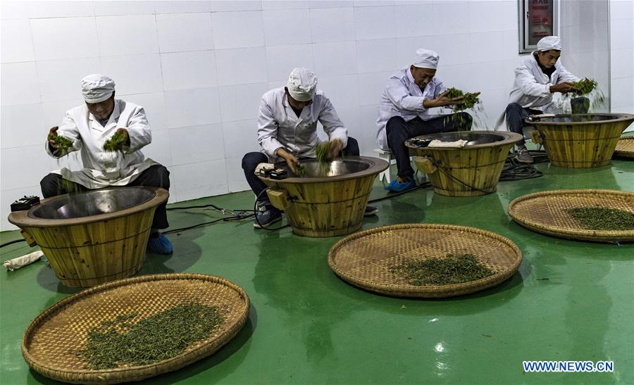 #CHINA-HUBEI-ZIGUI-TEA INDUSTRY (CN)