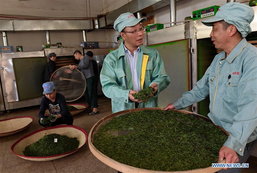 CHINA-FUJIAN-WUYI MOUNTAIN-TEA PRODUCTION (CN)