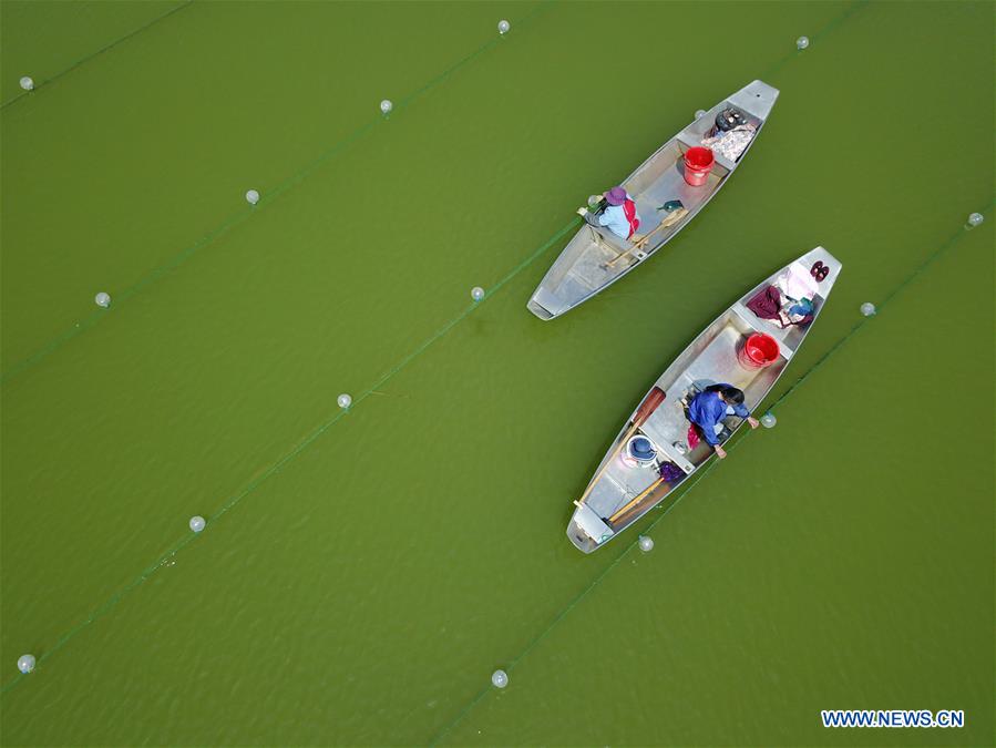 #CHINA-JIANGSU-SIHONG-PEARL CULTIVATION(CN)