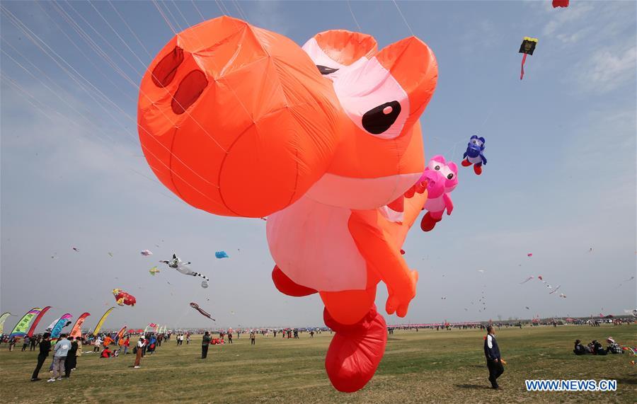 #CHINA-SHANDONG-WEIFANG-KITE-FAIR (CN)