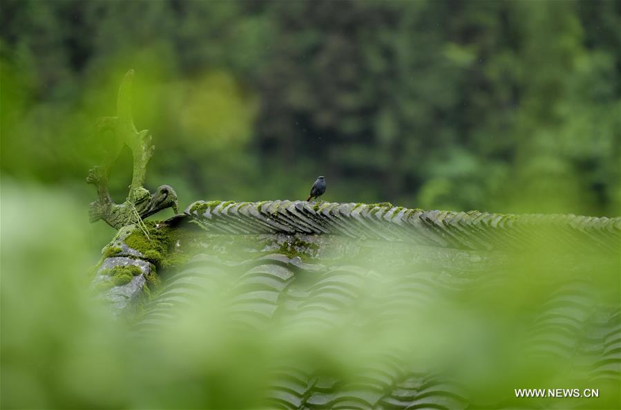 #CHINA-HUBEI-TUJIA MUSEUM (CN)