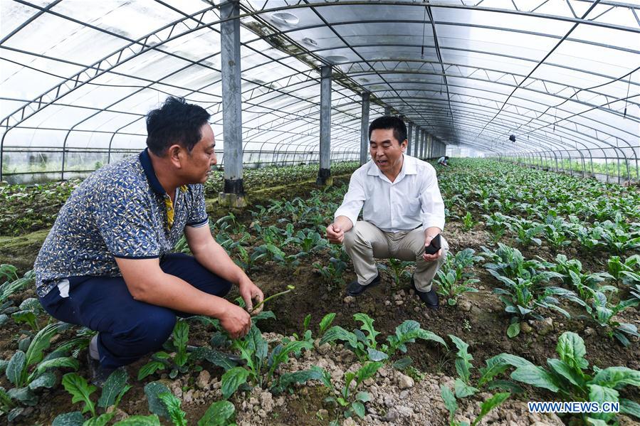 CHINA-ZHEJIANG-CHANGXING-PHOTOVOLTAIC AGRICULTURE (CN)