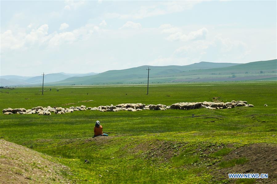 CHINA-INNER MONGOLIA-HULUNBUIR GRASSLAND-NATURE (CN)