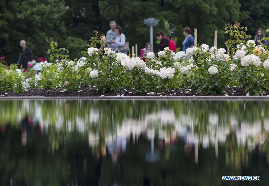 CANADA-BURLINGTON-ROYAL BOTANICAL GARDENS-ROSE GARDEN