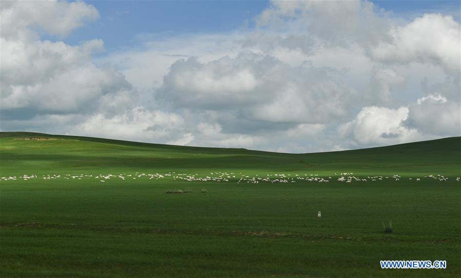 CHINA-INNER MONGOLIA-XILINGOL-GRASSLAND (CN)