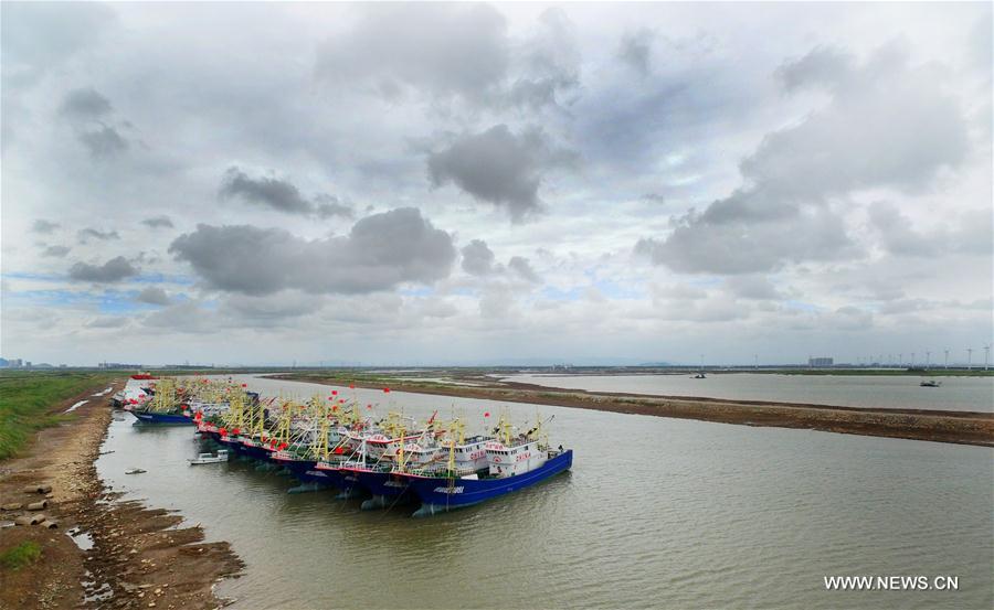 #CHINA-ZHEJIANG-TYPHOON-HARBOUR (CN)