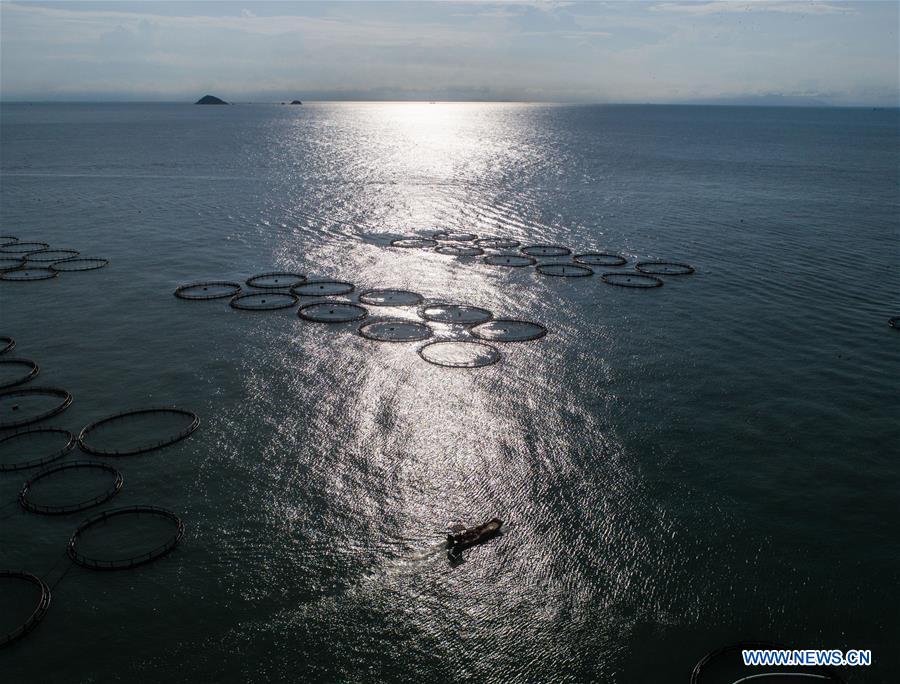 CHINA-ZHEJIANG-WENZHOU-MARICULTURE (CN)