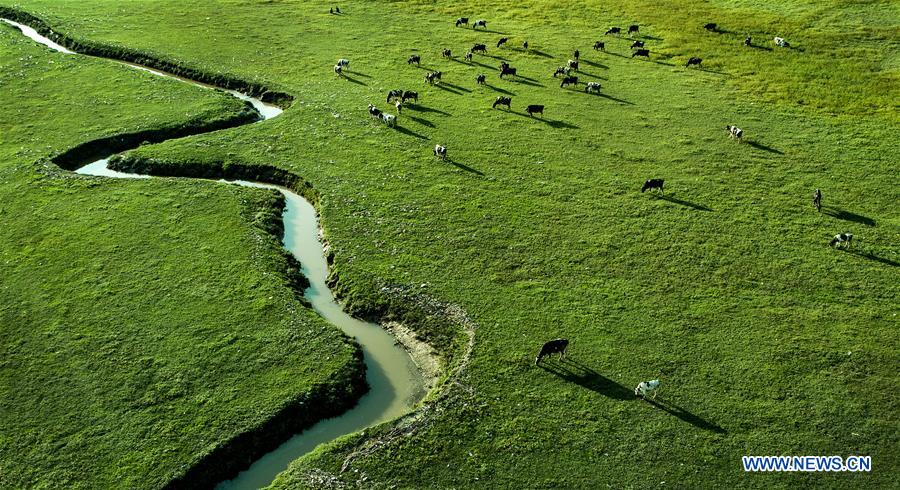 CHINA-SHANXI-HULIUHE WETLAND-SCENERY (CN)