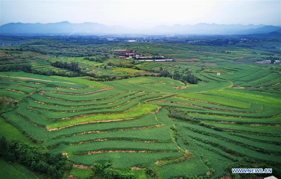 CHINA-HEBEI-TERRACED FIELDS (CN)