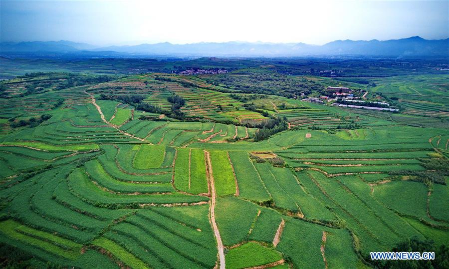 CHINA-HEBEI-TERRACED FIELDS (CN)