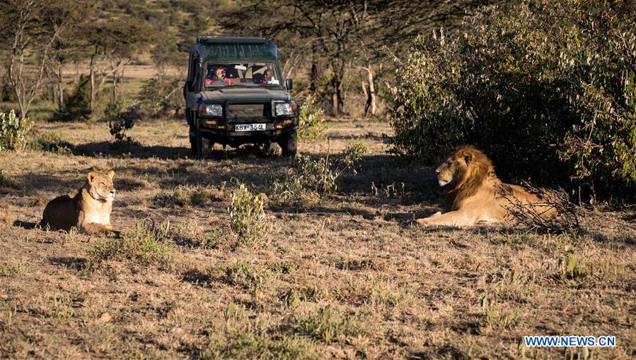 KENYA-MAASAI MARA-CHINESE WILDLIFE CONSERVATIONIST