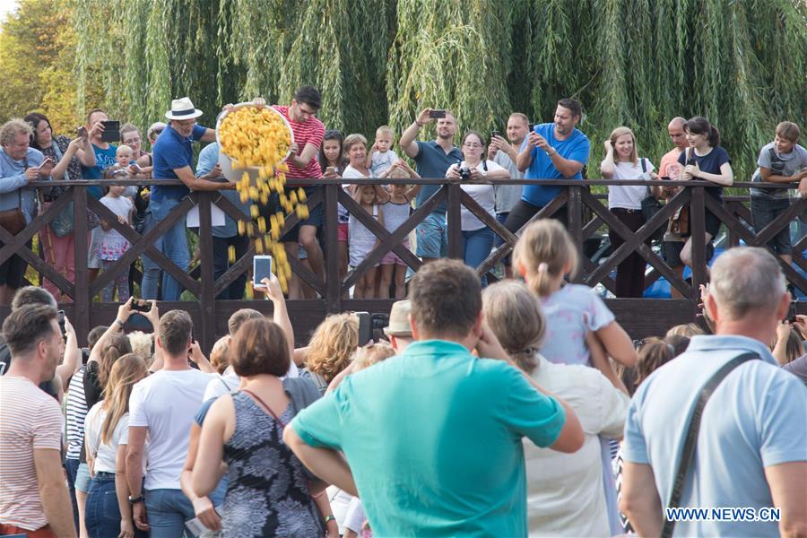 HUNGARY-SZENTENDRE-RUBBER DUCK RACE