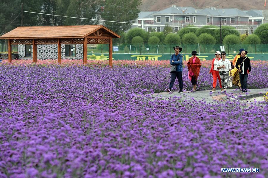 CHINA-GANSU-ZHANGYE-RURAL TOURISM-DEVELOPMENT (CN)