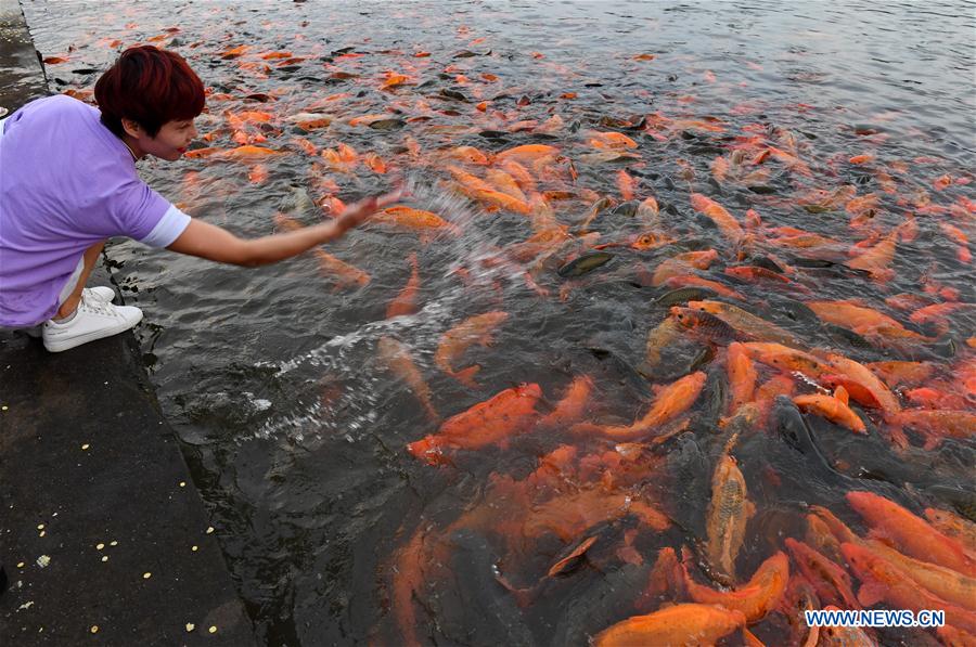 CHINA-FUJIAN-RIVER-FISH (CN)