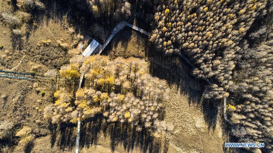 #CHINA-HEBEI-SHIJIAZHUANG-AUTUMN-SCENERY (CN)