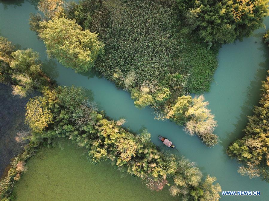 CHINA-HANGZHOU-XIXI WETLAND-AUTUMN SCENERY (CN)