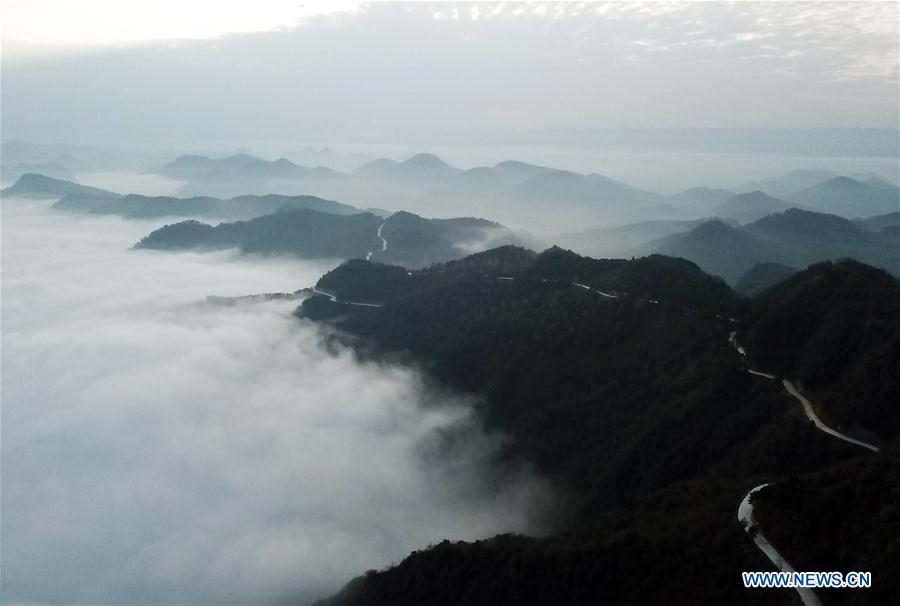 CHINA-GUIZHOU-TONGREN-ADVECTION FOG (CN)