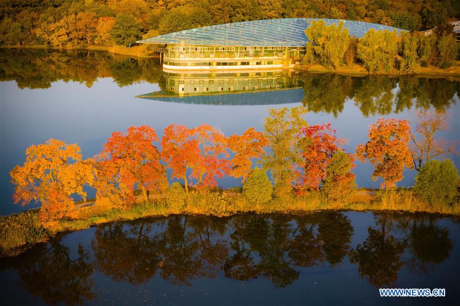 #CHINA-NANJING-AUTUMN SCENERY (CN)