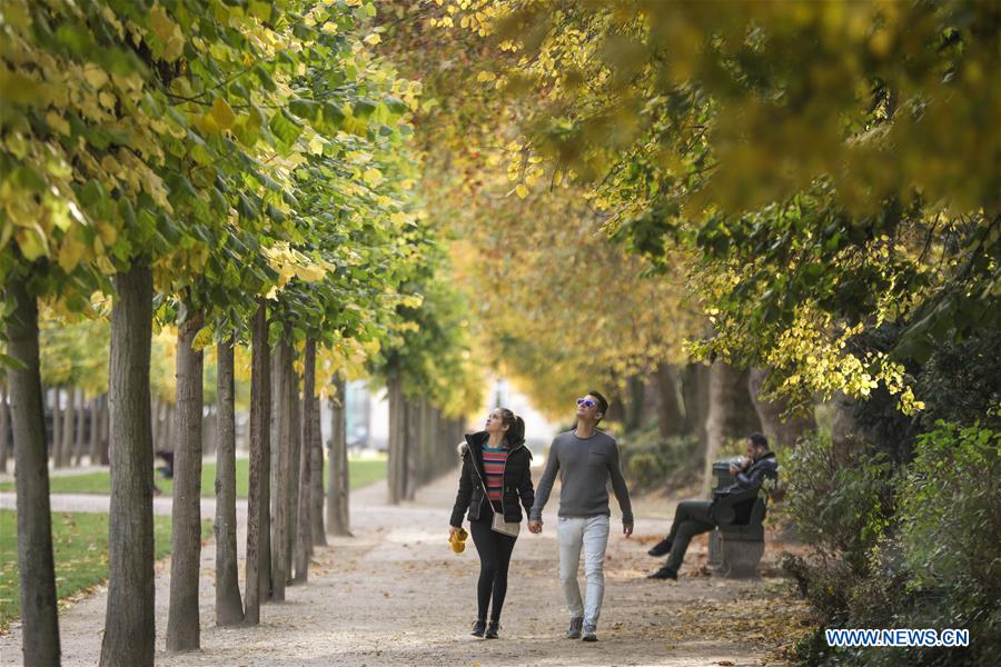 BELGIUM-BRUSSELS-AUTUMN