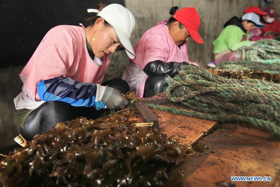 #CHINA-SHANDONG-RONGCHENG-AQUACULTURE (CN)