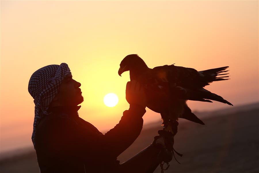 EGYPT-ALEXANDRIA-WORLD FALCONRY DAY-FALCONERS