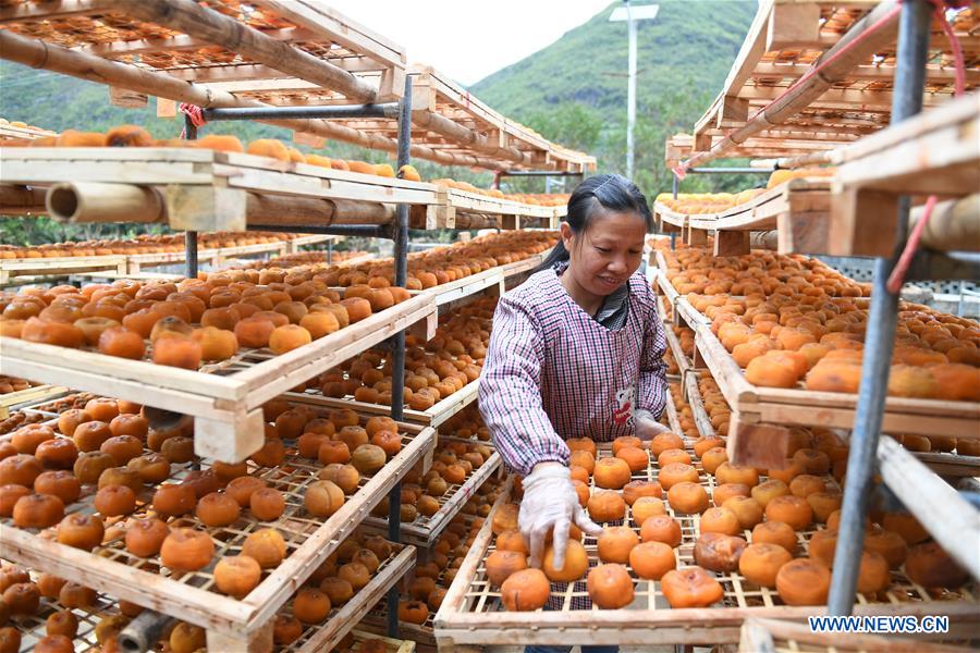 CHINA-GUANGXI-FRUIT INDUSTRY (CN)