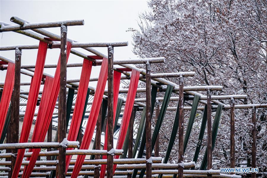 CHINA-ZHEJIANG-WUZHEN-SNOW SCENERY (CN)