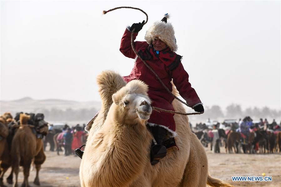 CHINA-INNER MONGOLIA-CAMEL NADAM (CN)