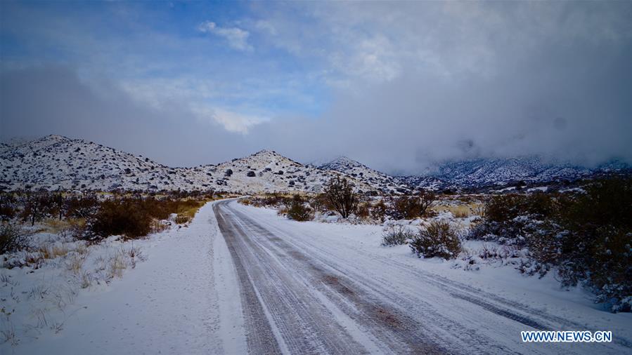 U.S.-NEW MEXICO-ALBUQUERQUE-BLIZZARD