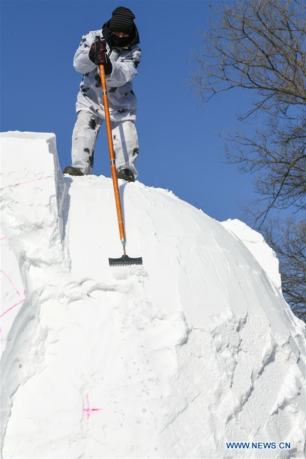 CHINA-HEILONGJIANG-HARBIN-SNOW SCULPTURE-COMPETITION (CN)