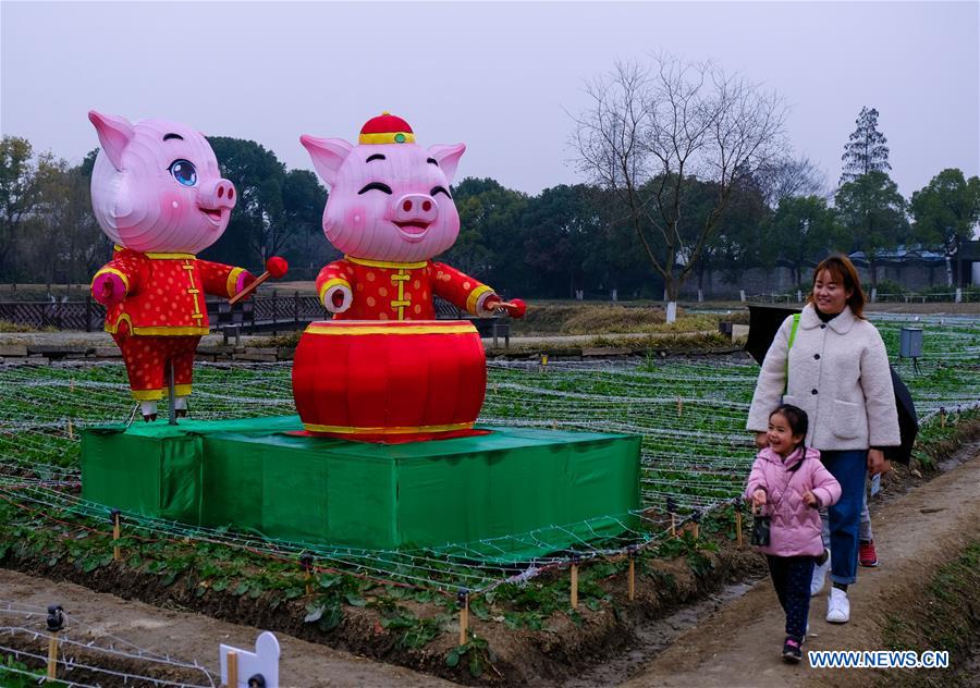 CHINA-ZHEJIANG-WUZHEN-LANTERN-SPRING FESTIVAL (CN)