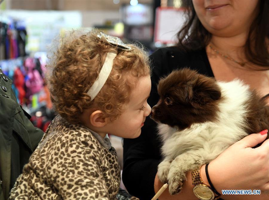 PORTUGAL-LISBON-PET SHOW