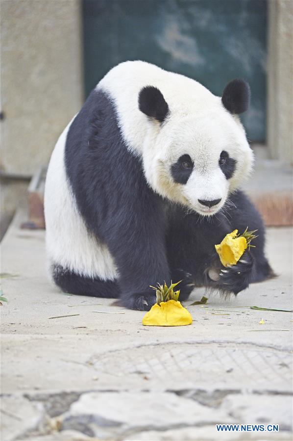 #CHINA-TIANJIN-SPRING FESTIVAL-ZOO (CN)