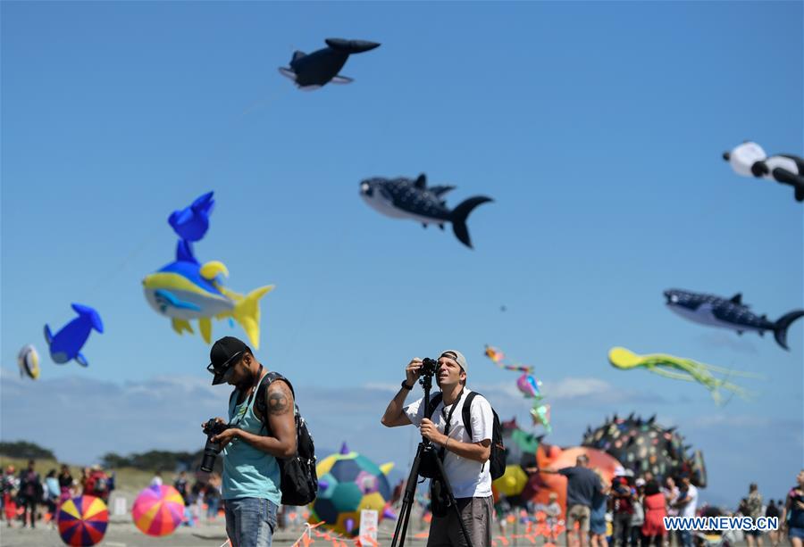 NEW ZEALAND-OTAKI-KITE FESTIVAL