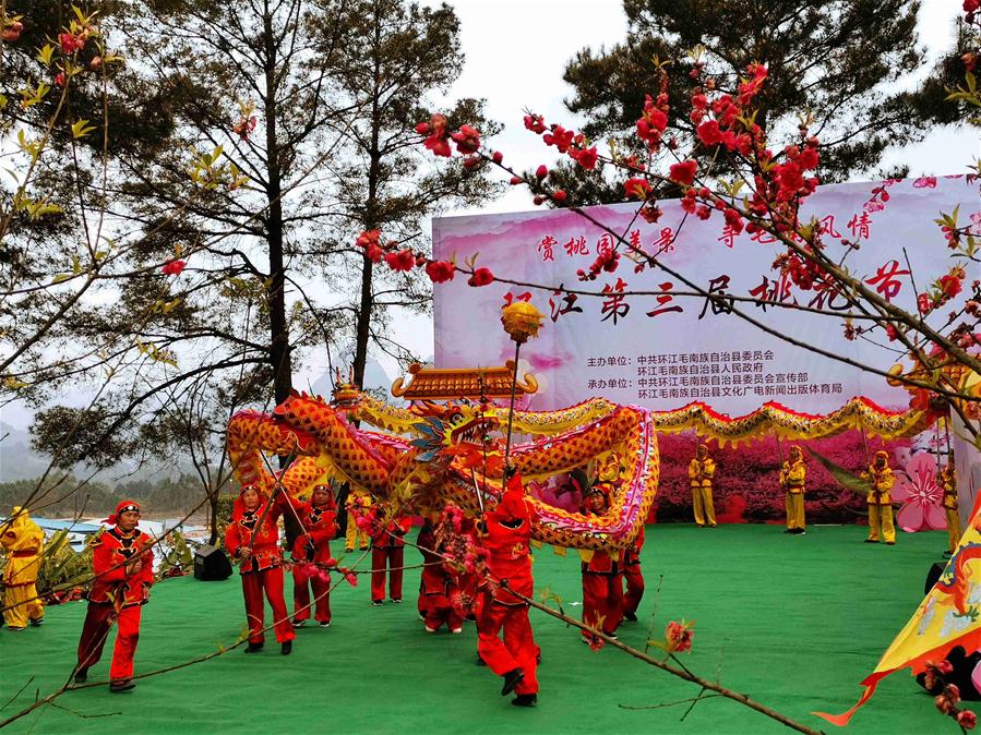 #CHINA-GUANGXI-HUANJIANG-PEACH BLOSSOM FESTIVAL (CN)