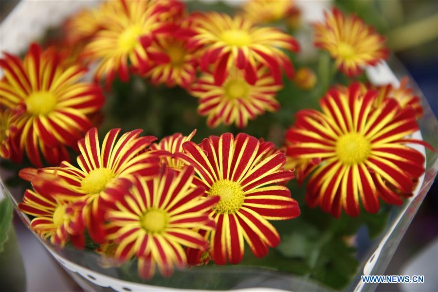 KYRGYZSTAN-BISHKEK-SPRING FLOWER FAIR