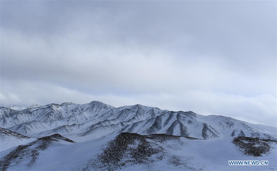 CHINA-QINGHAI-SPRING (CN)