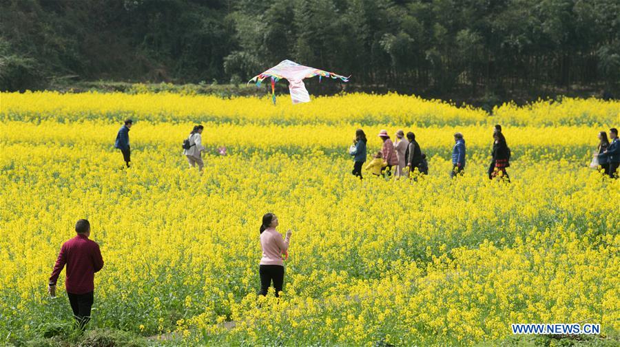 CHINA-ZHEJIANG-COLE FLOWERS (CN)