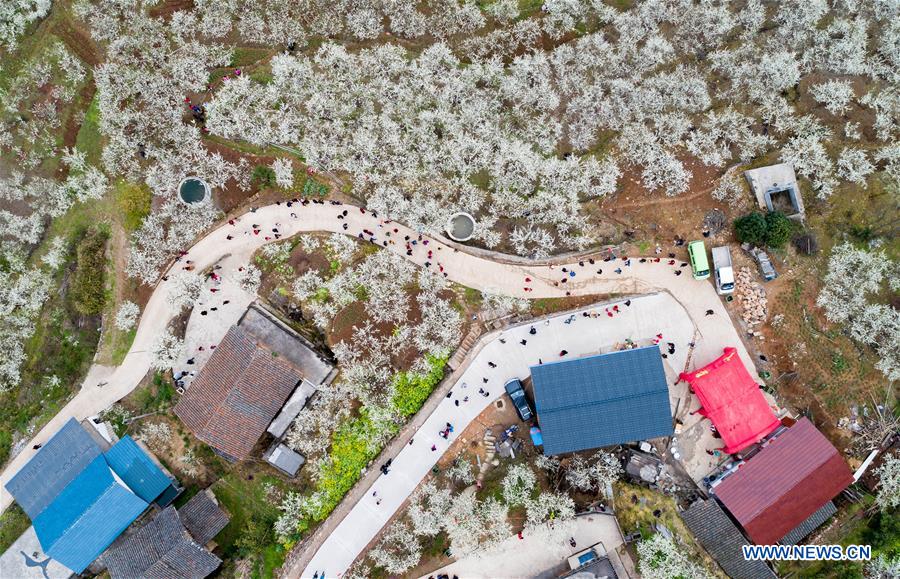 # CHINA-HUBEI-SPRING SCENERY-PLUM BLOSSOM (CN)